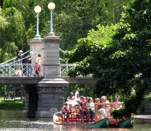 boston swan boat